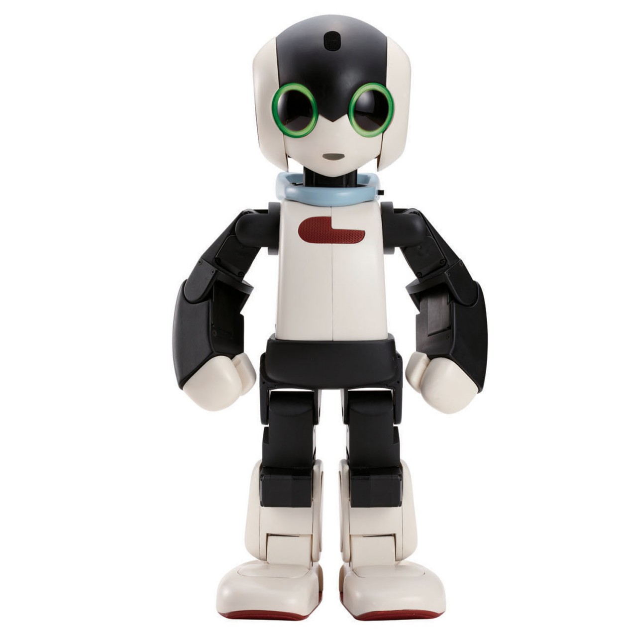 Robi Robot2